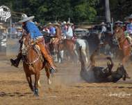 1-18-26 Circuito HTX