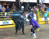 12-31-25 Pitchin In the Pines