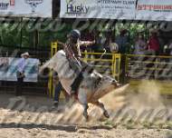 7-5-26 King String Arena