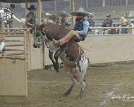 Aniversario Espuelas de Plata