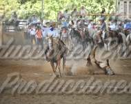 Domingo 12pm