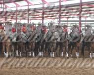 Sab-Feria de Escaramuzas