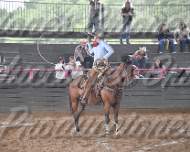 Estatal II 2006