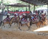 Adelitas de Virginia