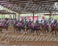 Coronelas de Texas