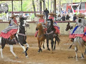 Rancho Los Girasoles